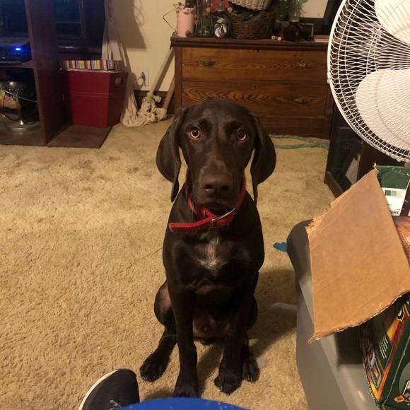 Meet your Posher, Glenn - Picture 1 of 1